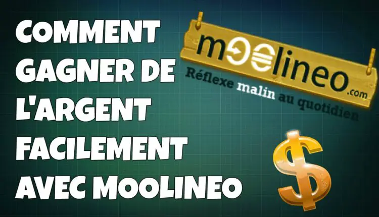 Moolineo Avis
